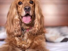 Пожалуйста, предоставьте заголовок для перевода