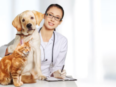 Как выбрать ветеринарную клинику для своего питомца